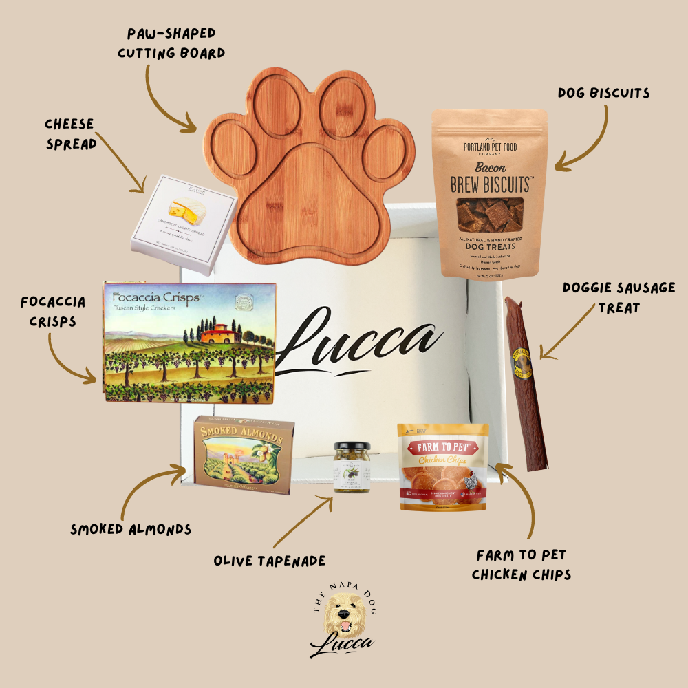 Paw'cuterie Gourmet Picnic Buddies Gift Basket for Pawrents & Pups