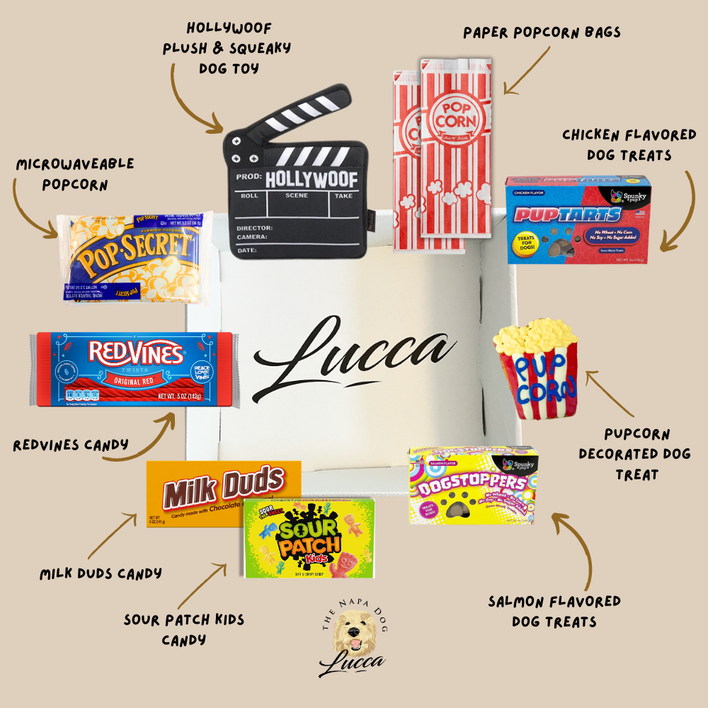 Pup-Corn and Movie Night Buddies Gift Basket for The Movie Buff & Their Dog