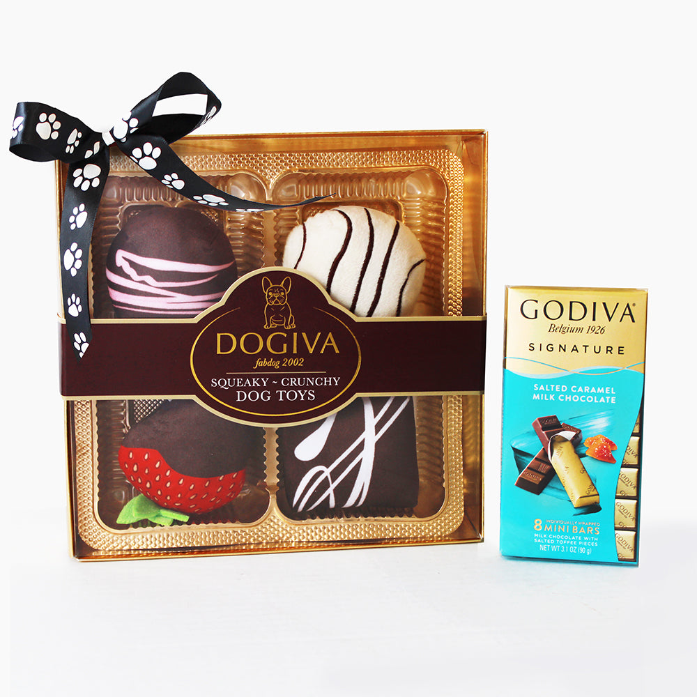 Decadent Duo: Dogiva and Godiva Delights Dog & Owner Gift